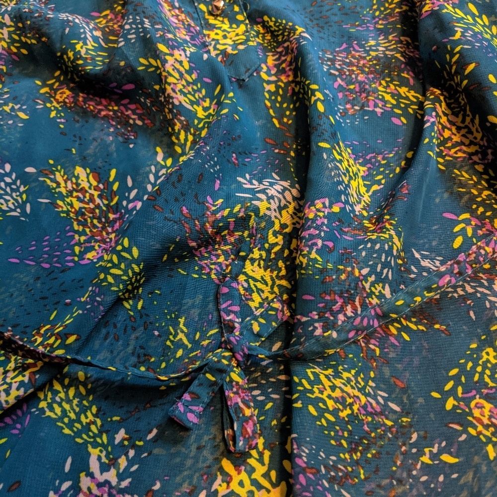 Sheer Blouse - Picture 5 of 7